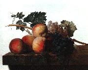 John Johnston Still Life with Fruit fhf Spain oil painting reproduction